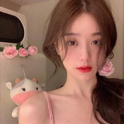 少数意见